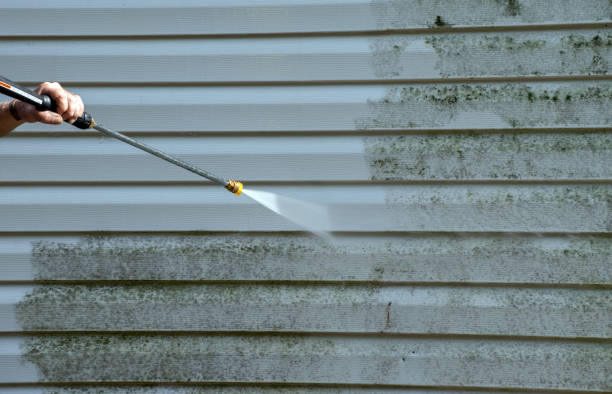 Best Local Pressure Washing Services  in Lake Shore, WA